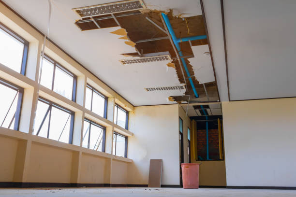 Best Fire Damage Restoration  in Townsend, DE