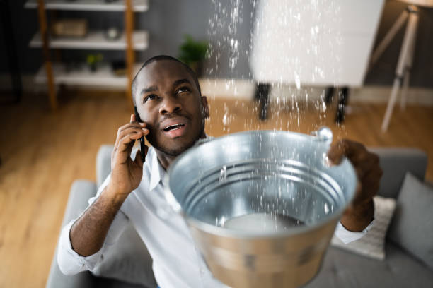 Carpet water damage restoration in Townsend, DE