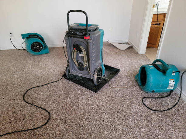 Best Water damage cleanup near me  in Townsend, DE