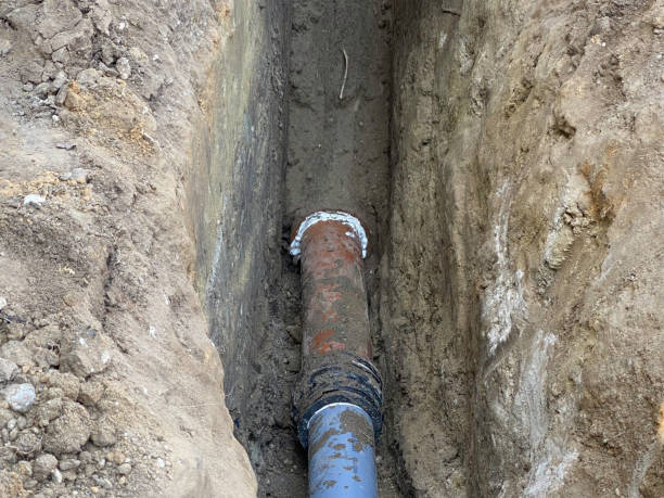 Best Sewage cleanup and water damage restoration  in Townsend, DE