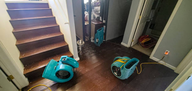 Professional Water damage restoration in Townsend, DE