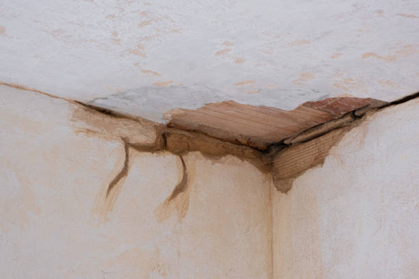 Best Flood restoration services  in Townsend, DE