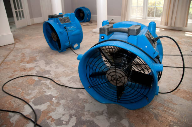 Best Water damage mitigation services  in Townsend, DE