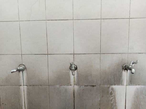 Best Water damage contractors near me  in Townsend, DE