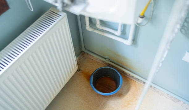 Best Carpet water damage restoration  in Townsend, DE